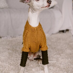 May include: A white and grey whippet dog wearing a brown knitted sweater with green knitted sleeves. The dog is sitting on a white fluffy rug.