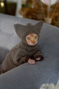 Cat hat Hand knit pet beanie Sphynx cat accessories Crochet hat for hairless cats product logo