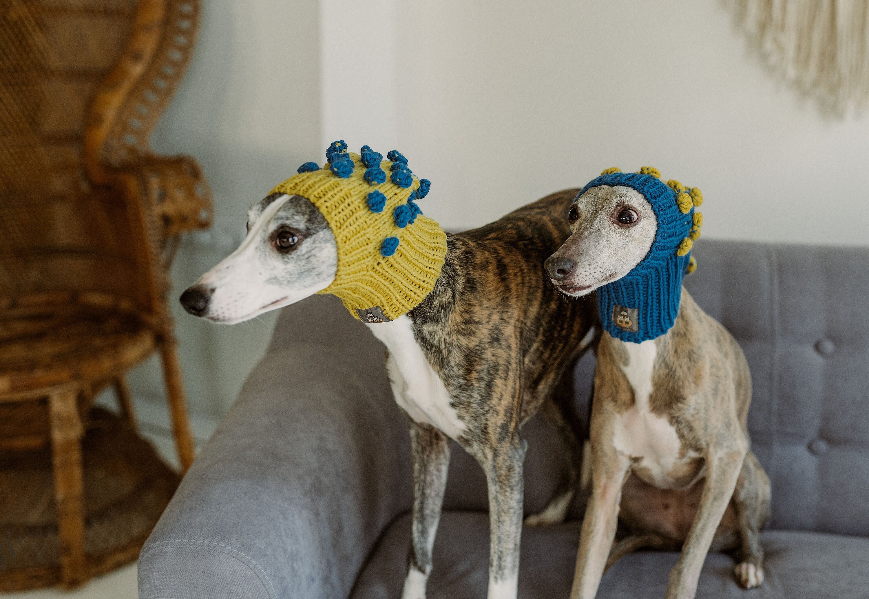 Italian Greyhound Hat Pom Pom Beanie for Large Dog Snood Hand Knit Scarf Whippet Hats Etsy