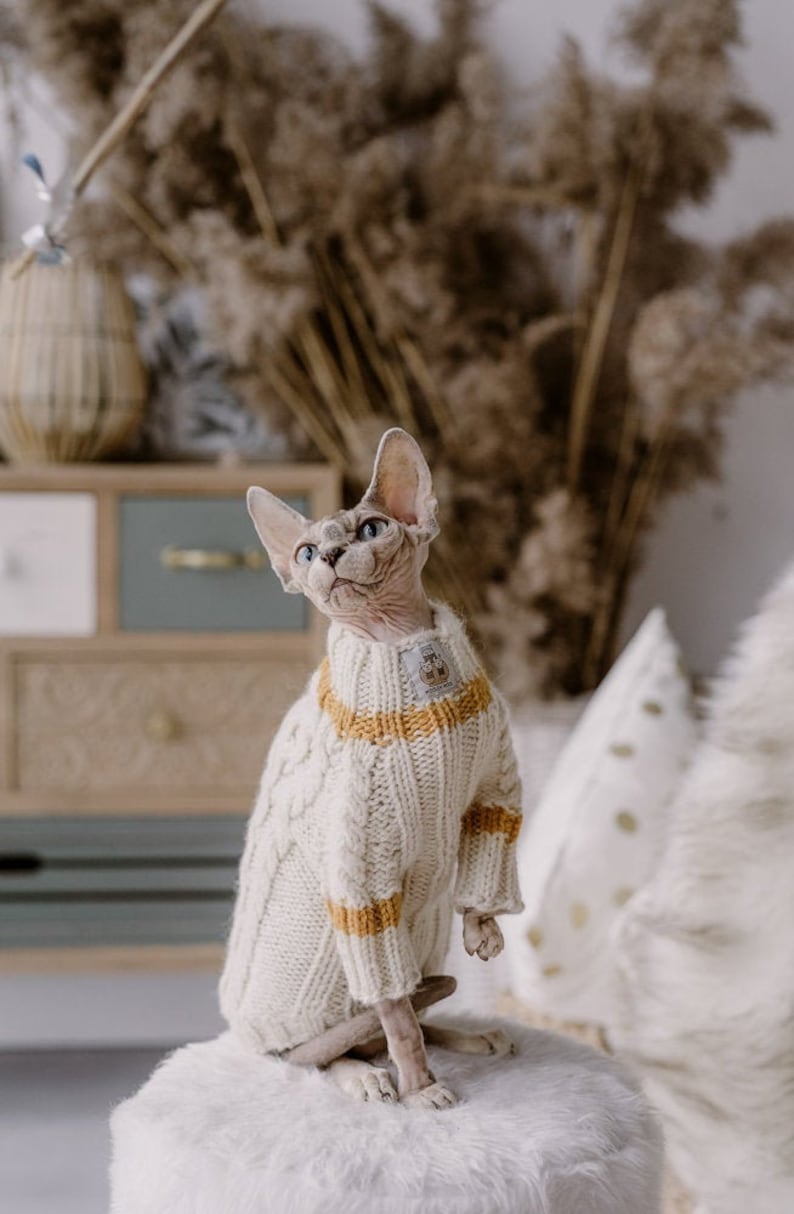 White Cat Sweater Hand Knit Alpaca Wool Sphynx Cat Jumper Pet Etsy