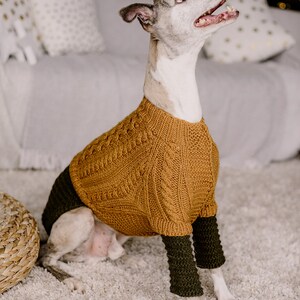 May include: A white and grey dog wearing a brown knitted sweater with green sleeves. The dog is sitting on a white fluffy rug and looking up.