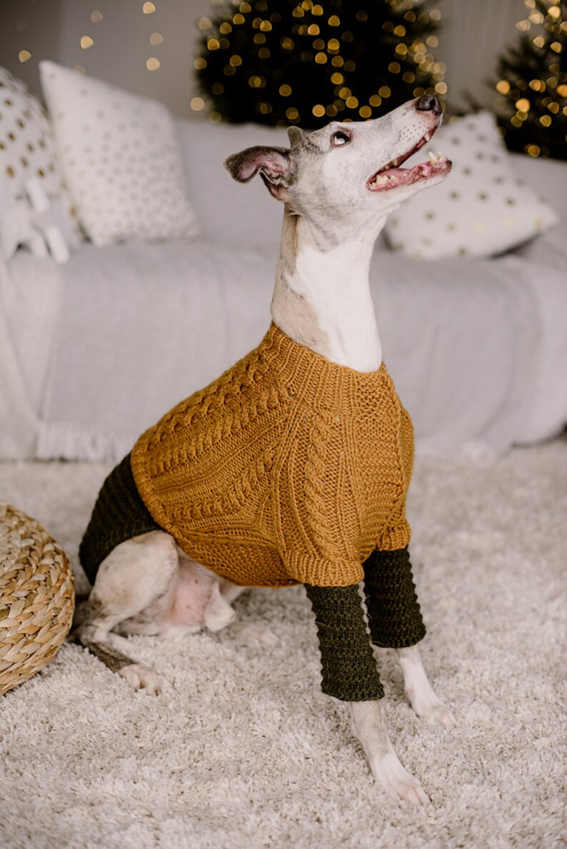 May include: A white and grey dog wearing a brown knitted sweater with green sleeves. The dog is sitting on a white fluffy rug and looking up.
