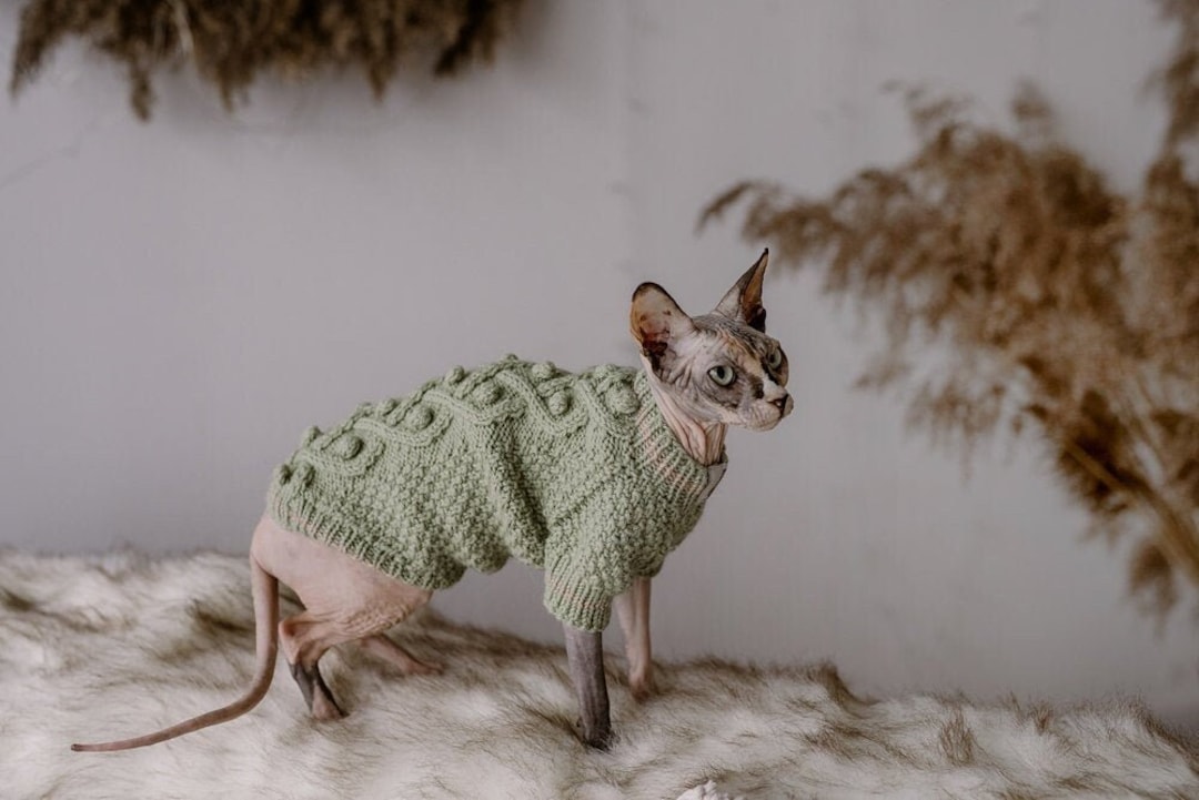 Sphynx Cat Sweater Hairless Cat Apparel Hand Knit Devon Rex