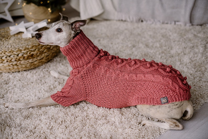 May include: A Whippet dog wearing a pink knitted sweater with a cable knit pattern and pom-poms. The sweater has a turtleneck collar.