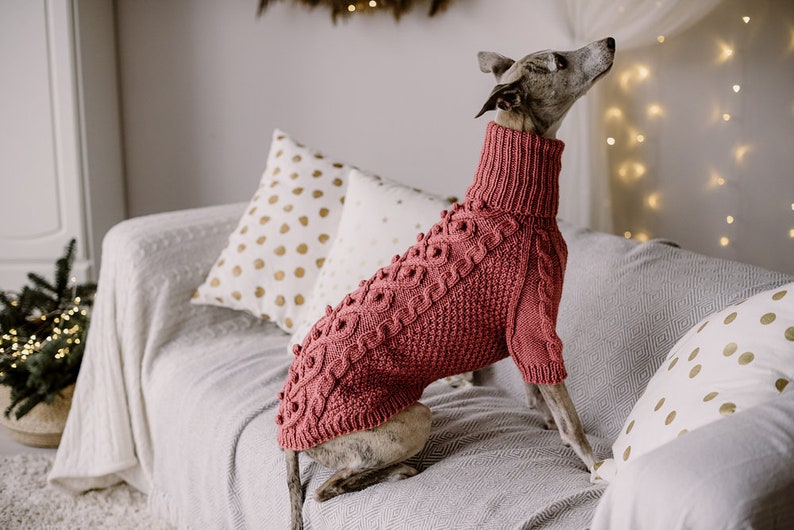 May include: A greyhound dog wearing a pink knitted sweater with a cable knit pattern and pom poms. The dog is sitting on a grey couch with gold polka dot pillows.