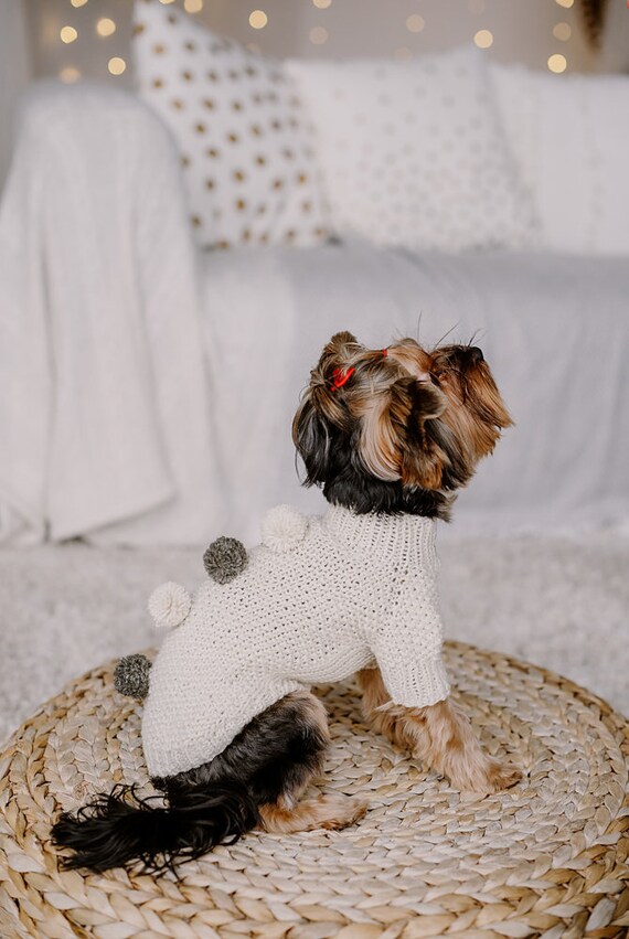 Pull tricot chien hotsell