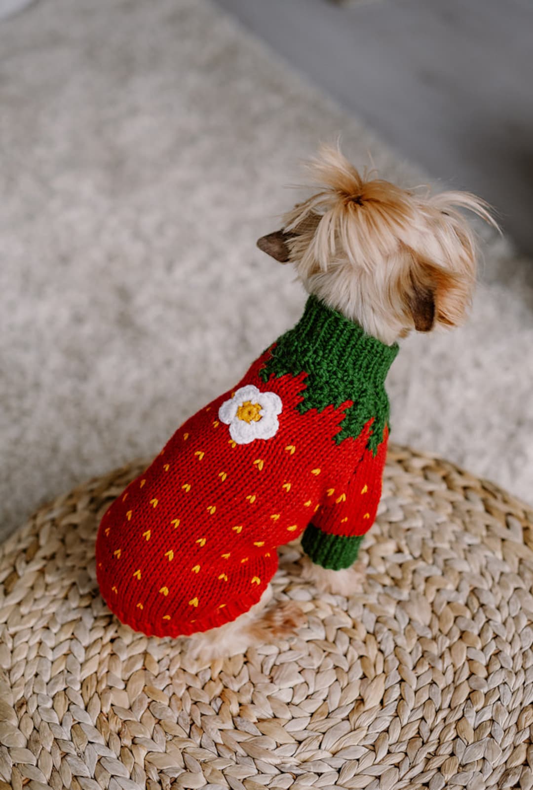 Hand Knit Small Dog Strawberry Costume Wool Knit Yorkshire Terrier