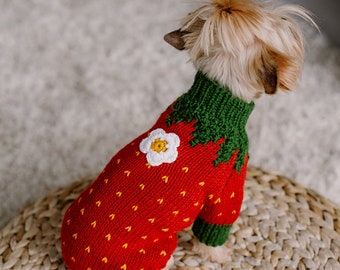 Hand knit small dog strawberry costume Wool knit yorkshire terrier jumper Red cat sweater