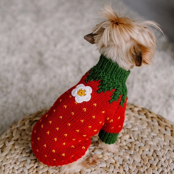 Hand knit small dog strawberry costume Wool knit yorkshire terrier jumper Red cat sweater