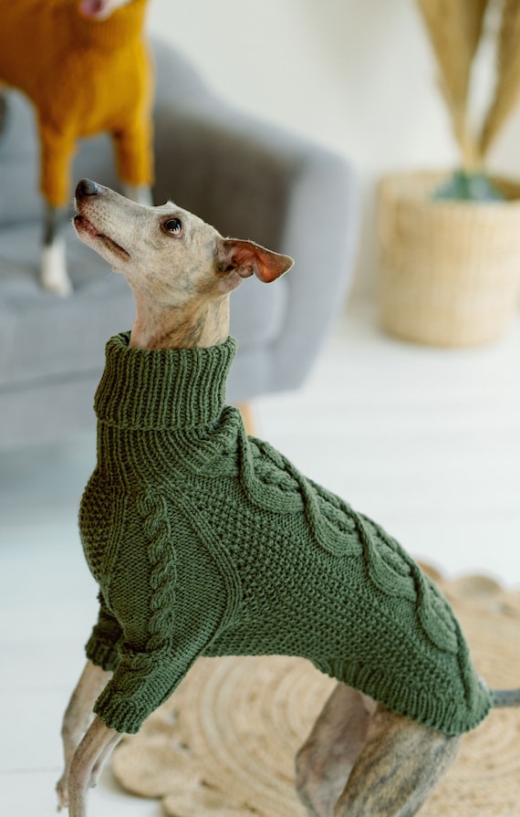 Beige Cable Knit Dog Sweater | PupRWear Dog Boutique