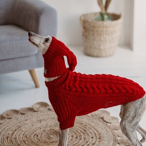 May include: A grey and white dog wearing a red knitted sweater with a hood. The dog is standing on a brown circular rug.