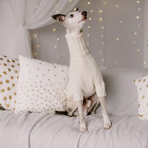 May include: A white dog wearing a white knitted sweater sits on a gray couch with white pillows with gold polka dots and gold stars.