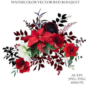 Amaryllis, red poinsettia, eucalyptus, mistletoe, winter greenery big vector bouquet. Christmas vector design digital flowers. Clipart