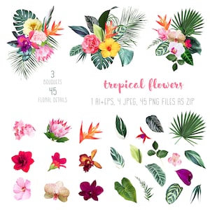 Exotic Tropical Flowers: Orchid, Strelitzia, Hibiscus, Protea, Anthurium, Palm, Monstera - Detailed Vector Design for Various Projects