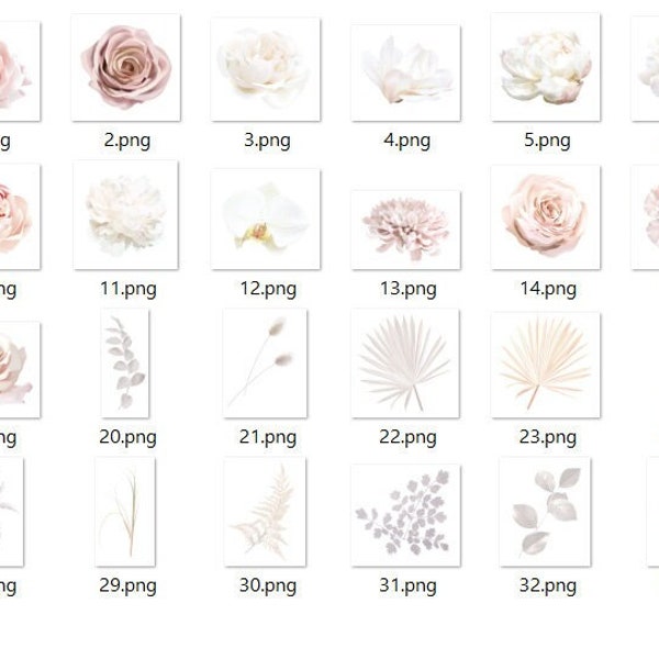 Boho beige and blush trendy vector design flowers. Pastel pampas grass, ivory peony, orchid, dahlia, ranunculus, dusty pink rose, dried leaf