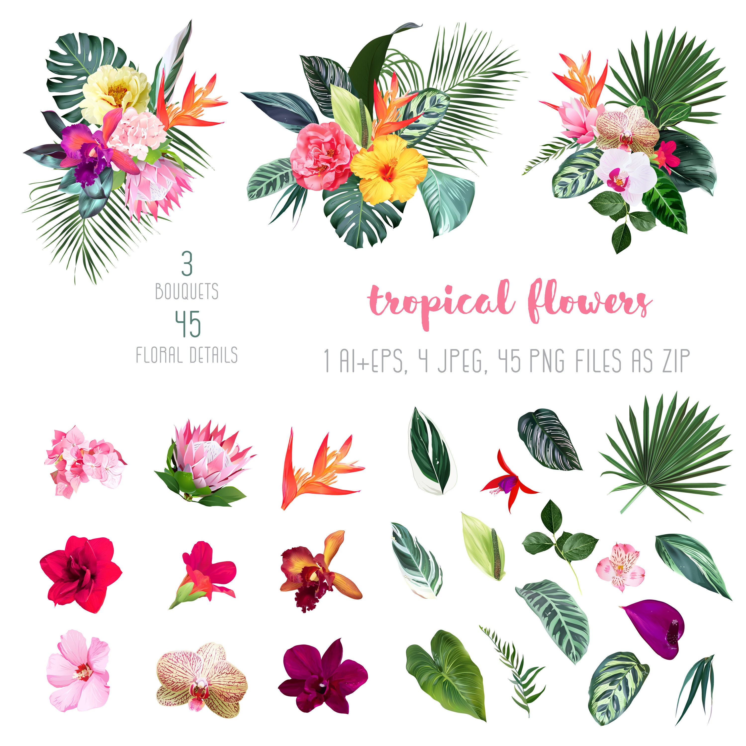 judicious clipart flowers