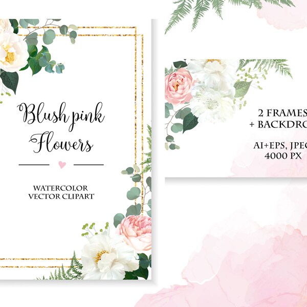 Pink Ranunculus - Etsy