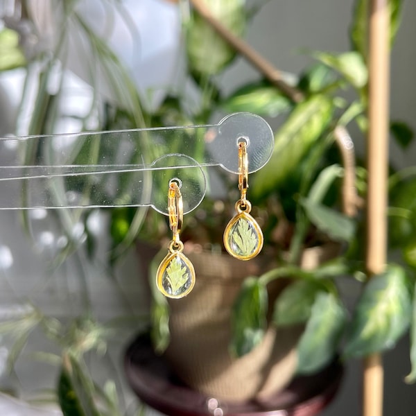 Gold Huggie Hoop Earrings with Teardrop Fern - Nature Lover Earring - Minimalist Earrings - Everyday Hoops - Nickel Fee