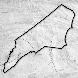May include: A black outline of the state of North Carolina on a white background with a wood grain texture.