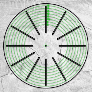May include: A black and white target with concentric circles and radiating lines. The target has 16 concentric circles and 12 radiating lines.