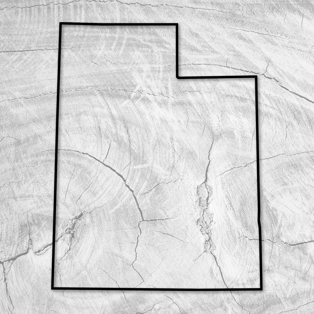15.3x12