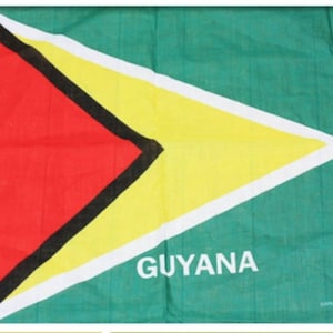 Guyana flag bandana