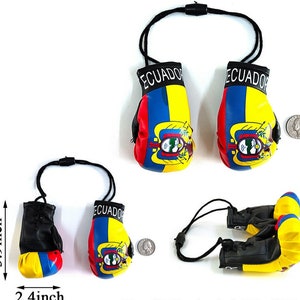 Ecuador flag boxing gloves
