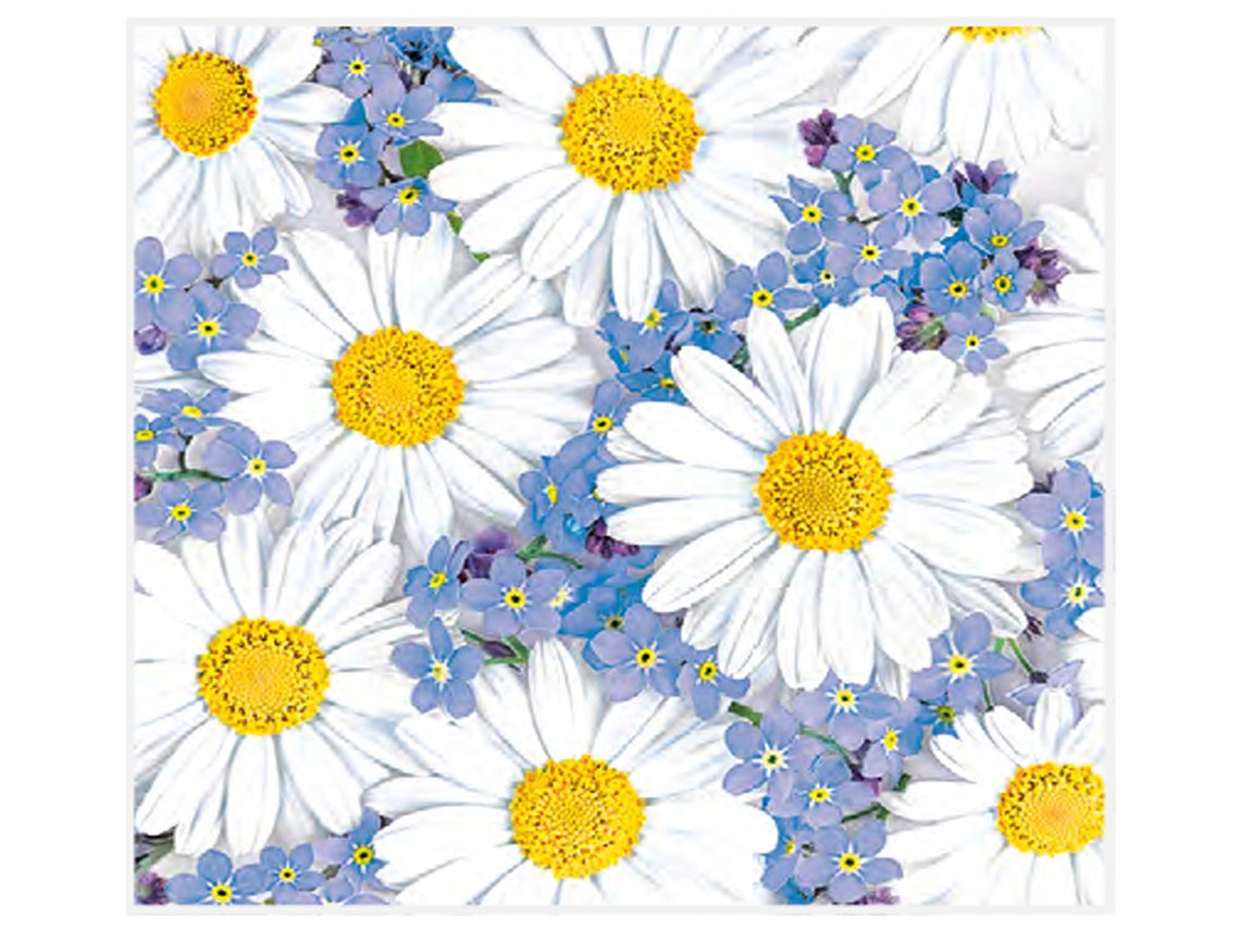 20 Decoupage paper Napkins set of 20 Lunch size daisy Etsy