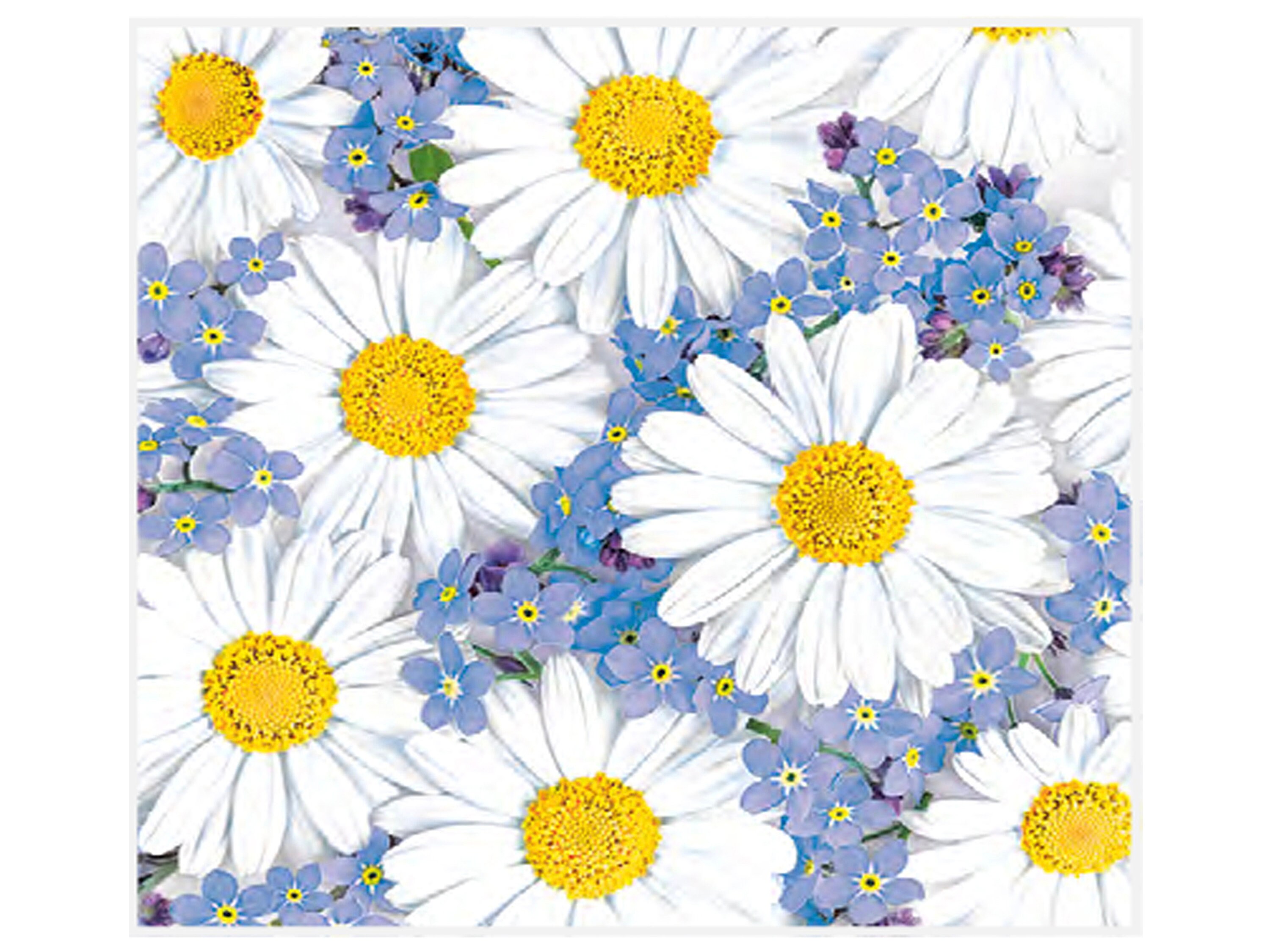 20 Decoupage paper Napkins set of 20 Lunch size daisy Etsy