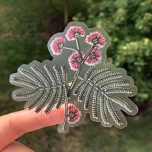 Albizia Julibrissin Duidelijke Sticker | Zijden | Illustraties | Kunst aan de muur | | Bloemsierkunst