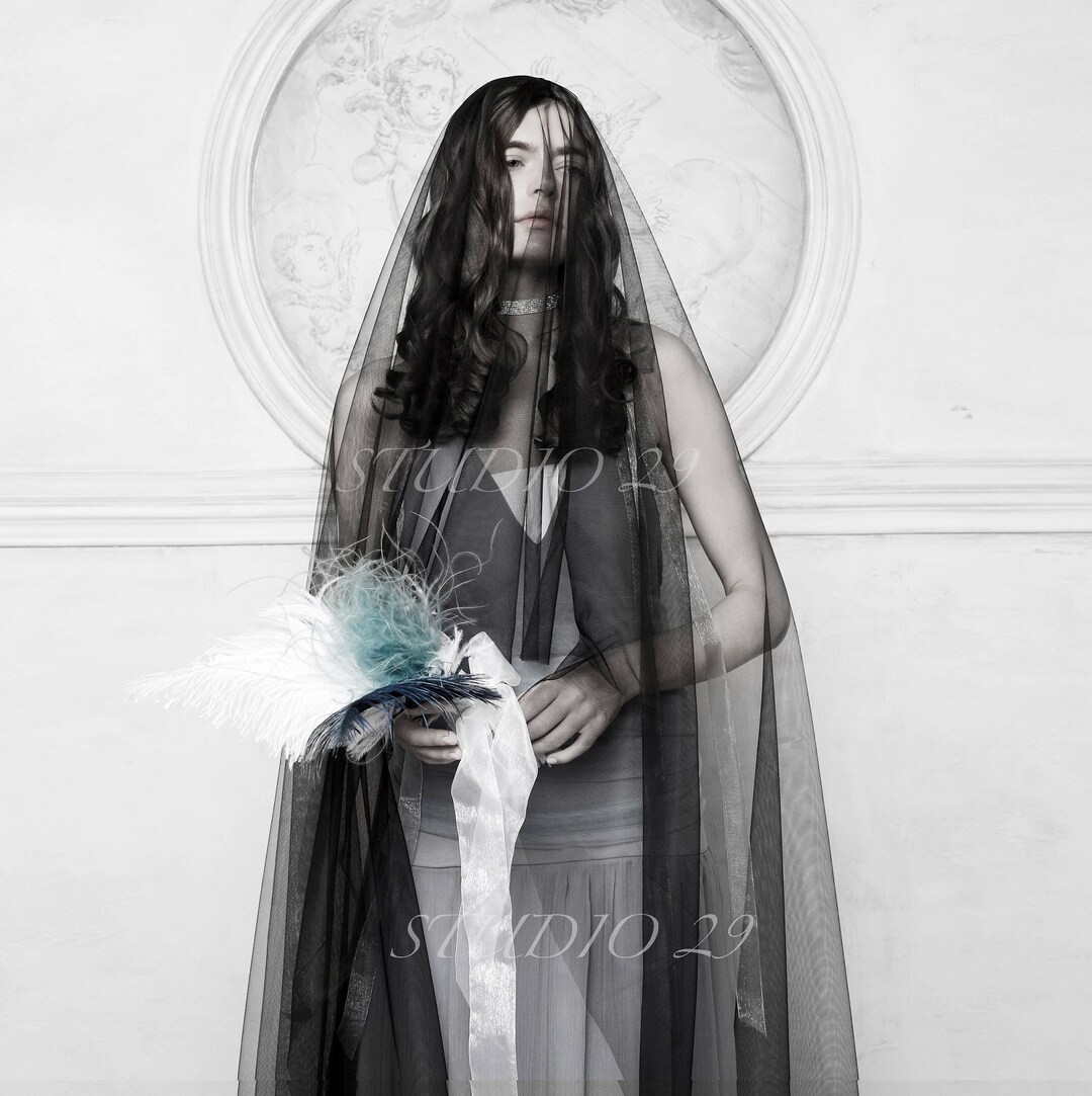 Black Bridal Veil Black Wedding Veil With Blusher Long Black Etsy