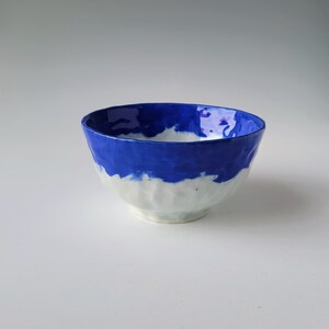 Blue colored Porcelain Bowl image 3