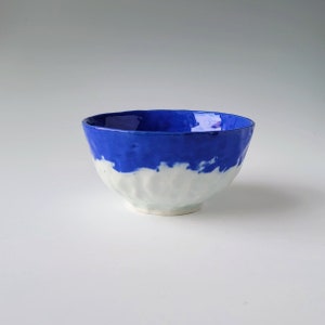 Blue colored Porcelain Bowl image 1