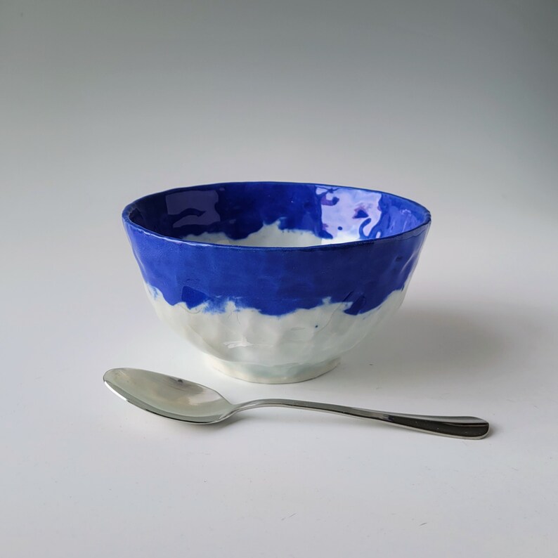 Blue colored Porcelain Bowl image 4