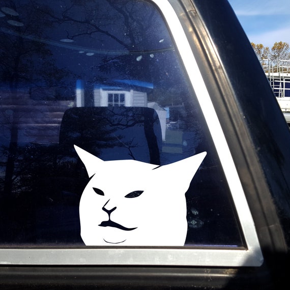 Featured image of post Smudge Screaming Cat Meme / Btw the cat is safe so no wirres.