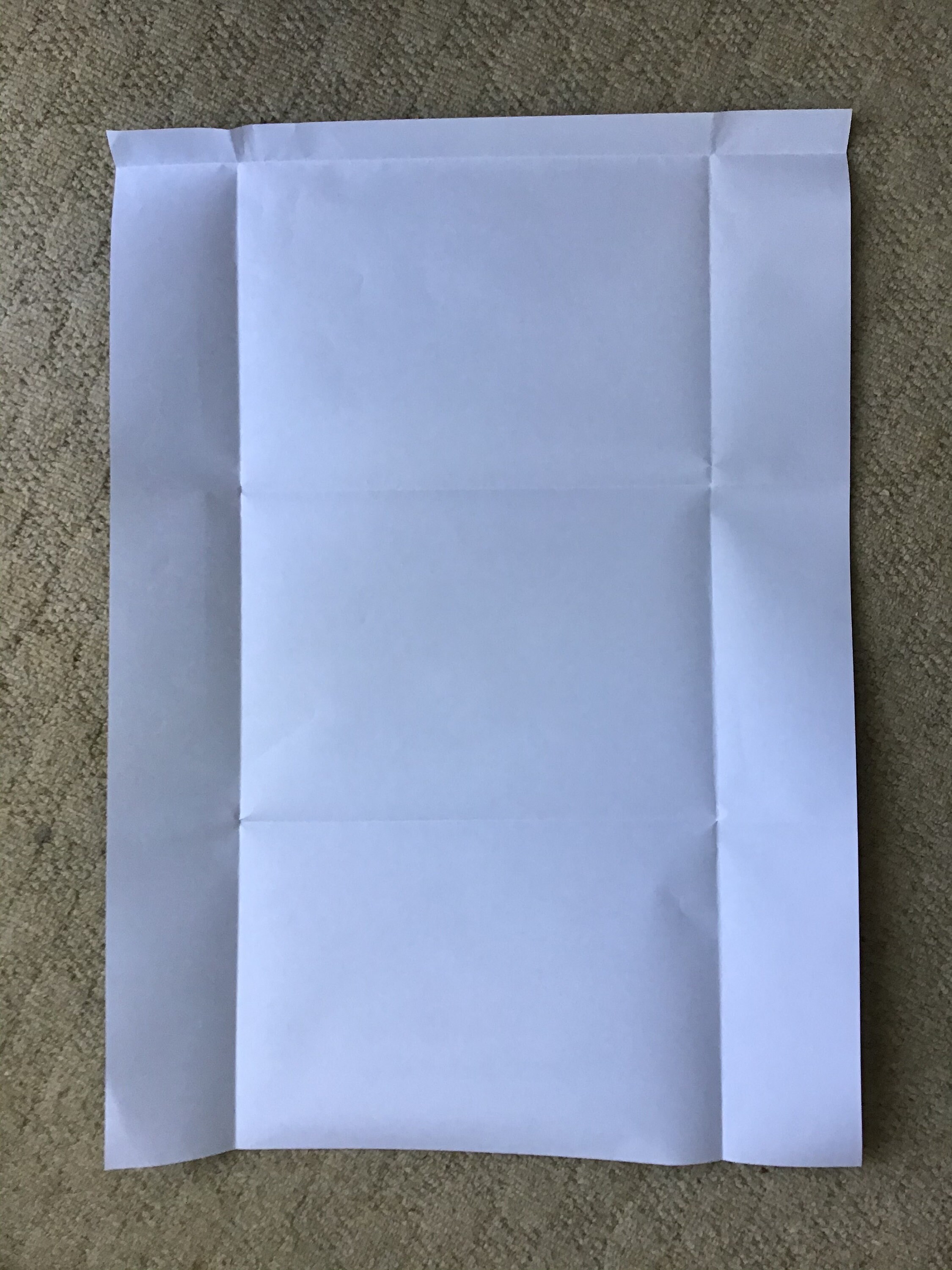 Midnight Garden Gift Wrap Wrapping Paper Etsy