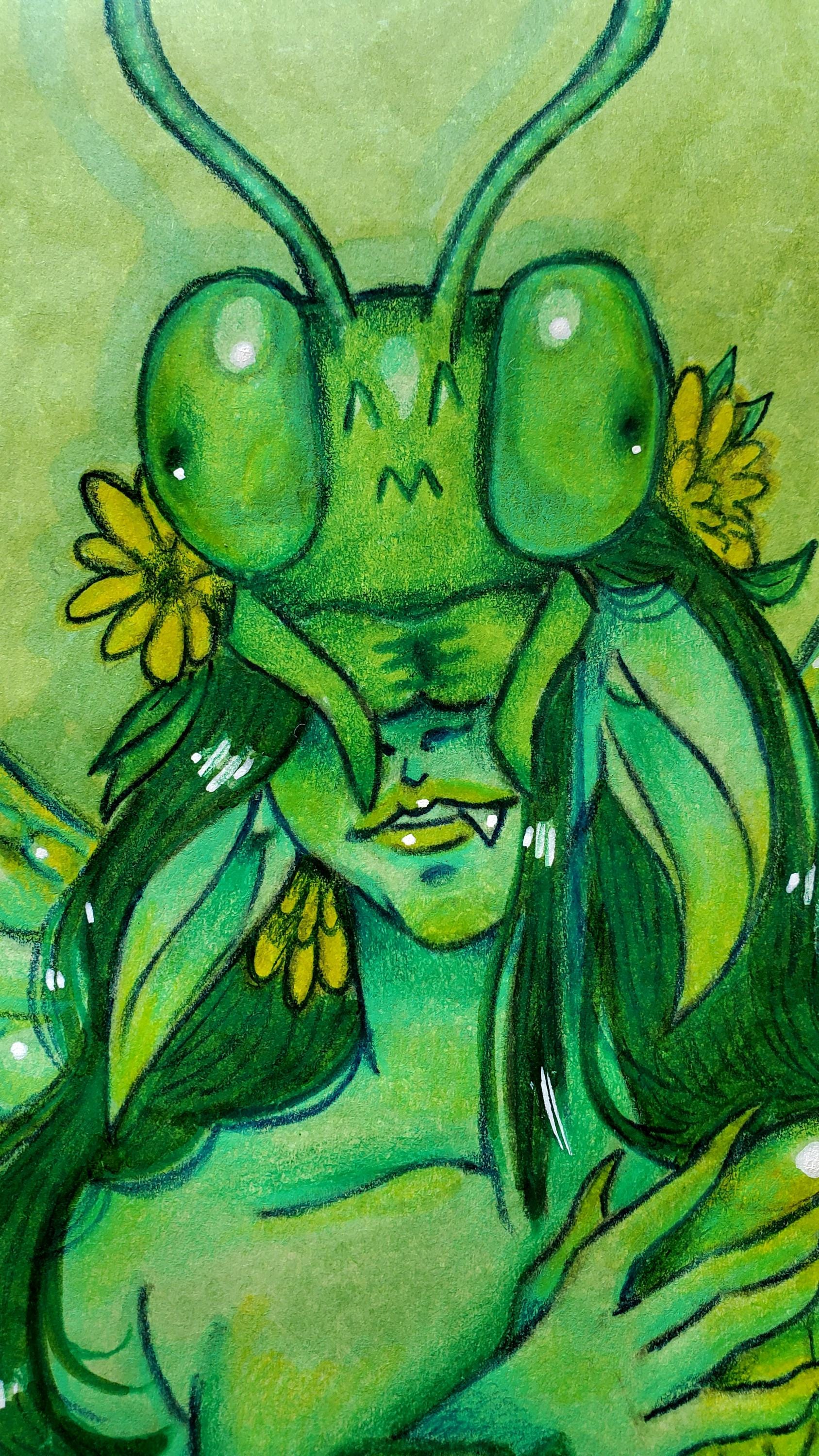 Mantis Fae Praying Mantis Fae (original Sketchbook Page) - Mantis Fairie - Etsy