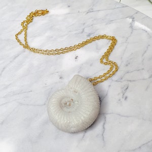 Ammonite necklace, sea witch, fossil jewellery, mystical gifts, fossil gift, cottagecore gifts, ammonite pendant, fantasy necklace