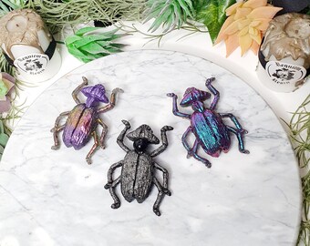 Beetle brooch, insect art, macabre jewelry, quirky gifts, goth gifts, beetle gifts, insect brooch, insect gifts, goth pin badge, entomology