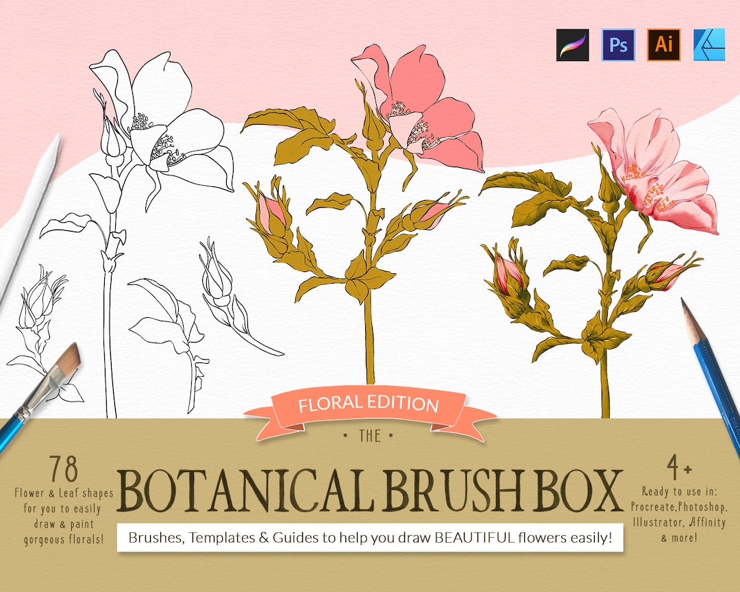 Floral Procreate Brushes, Botanical Stamps (photoshop, Affinity) - Etsy