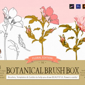 Floral Procreate Brushes, Procreate Botanical Brush Box -  Floral Stamp, Botanical Stamp, Photoshop Brushes