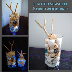 Lighted Seashell Vase, Large Seashell Vase, Seashell & Driftwood Vase, Mermaid Vase, Seashell Night Light, Starfish Decor, Seashell Decor