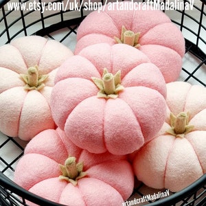 Pumpkin felt decoration or Set of 2, Pink Blush, Autumn home decoration