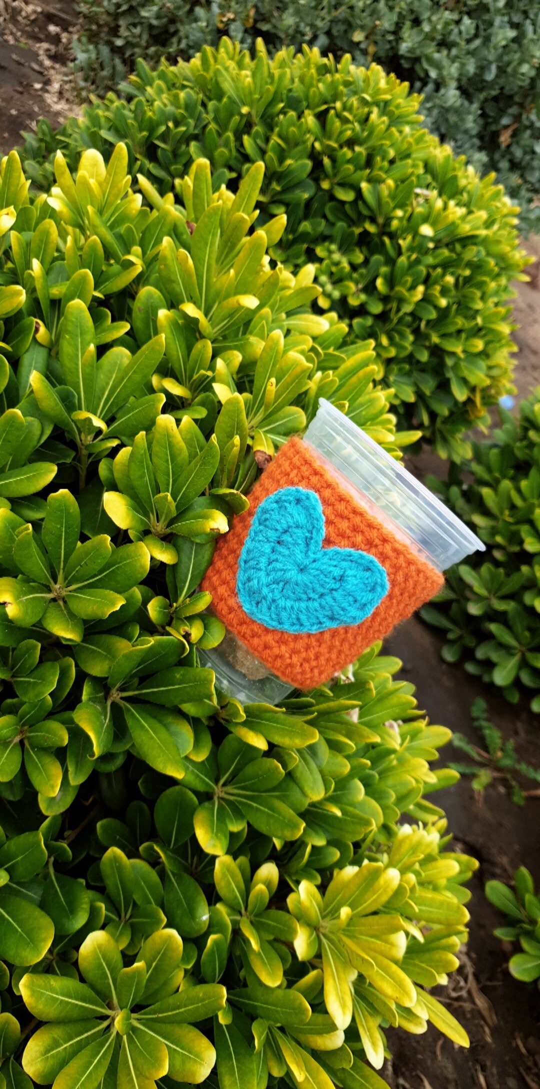 Crochet Coffee Cup Cozy