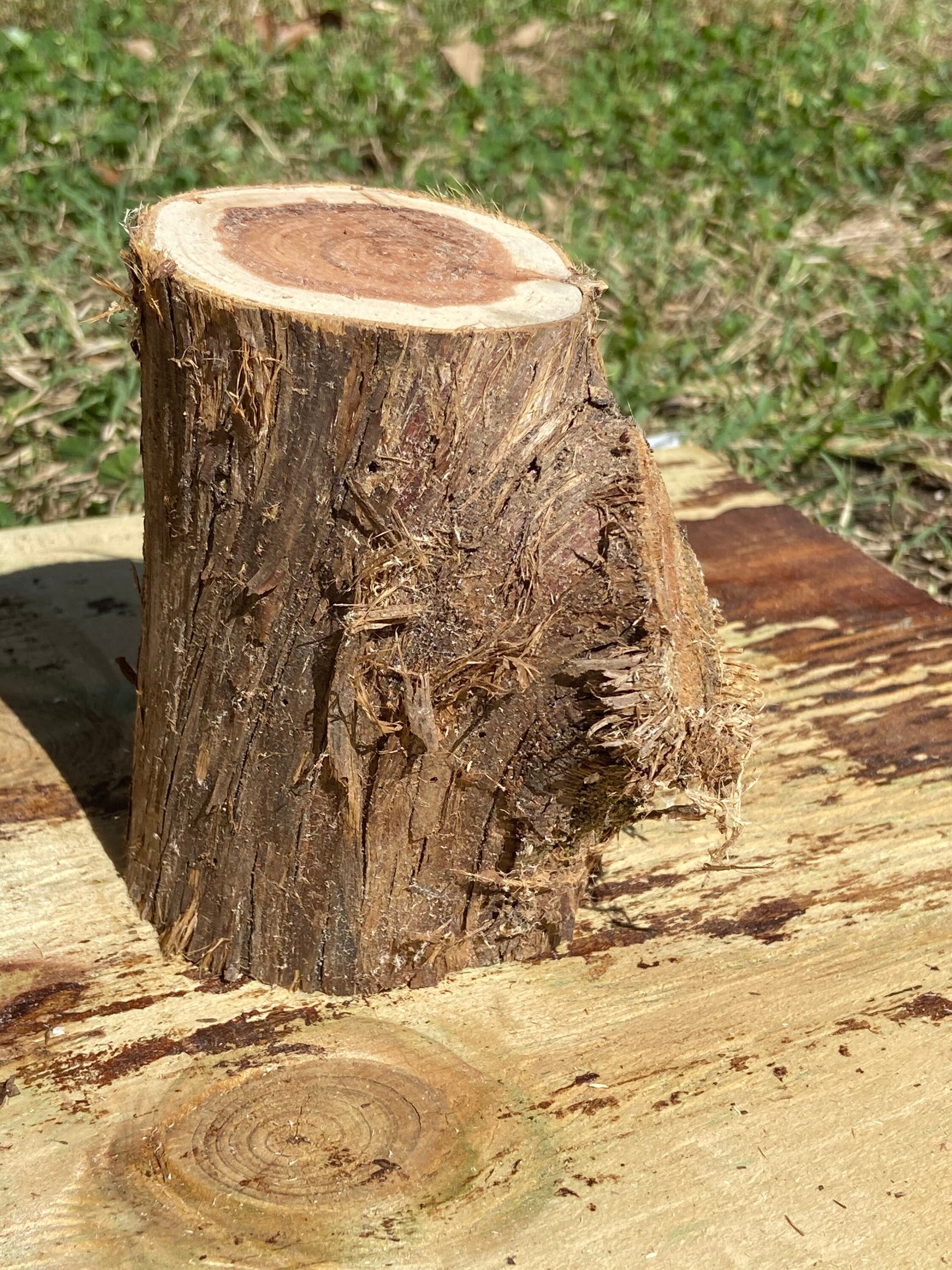 Cedar log pieces Etsy