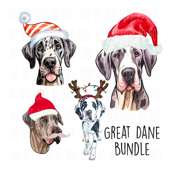 Great Dane png bundle | dog clipart bundle | dog holiday bundle | Christmas dog png | digital download for dog lover | sublimation design