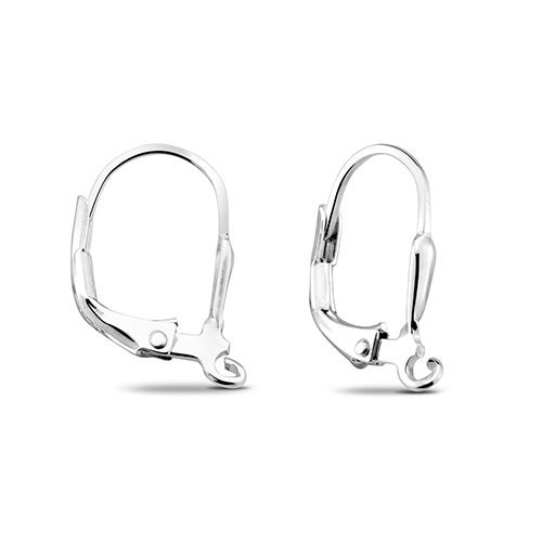5 Pair Stainless Steel Leverback Earring Hooks, C94 