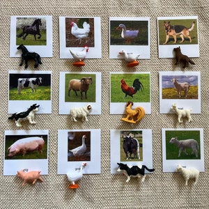 Montessori, ferme commune, grange, animaux, nomenclature, 3 pièces, cartes flash, miniatures, figurines, maison, école, classe, jouets éducatifs d'apprentissage