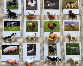 Montessori Common Farm Barn Animals 3 Parts Nomenclature Flash Cards Miniatures Figurines Home School Classroom Educational Learning Toys