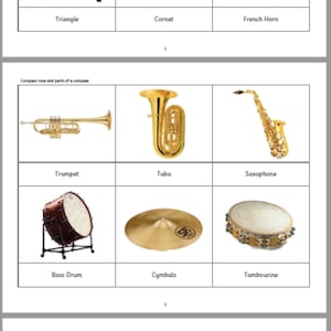 Montessori Composition and Layout of a Symphony Orchestra 3 Parts Cards digital download